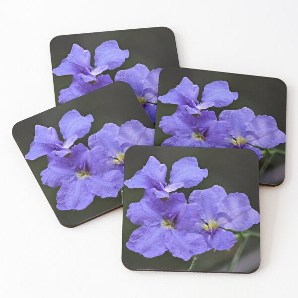 Item preview, Dampiera stricta designed and sold by ausnative.