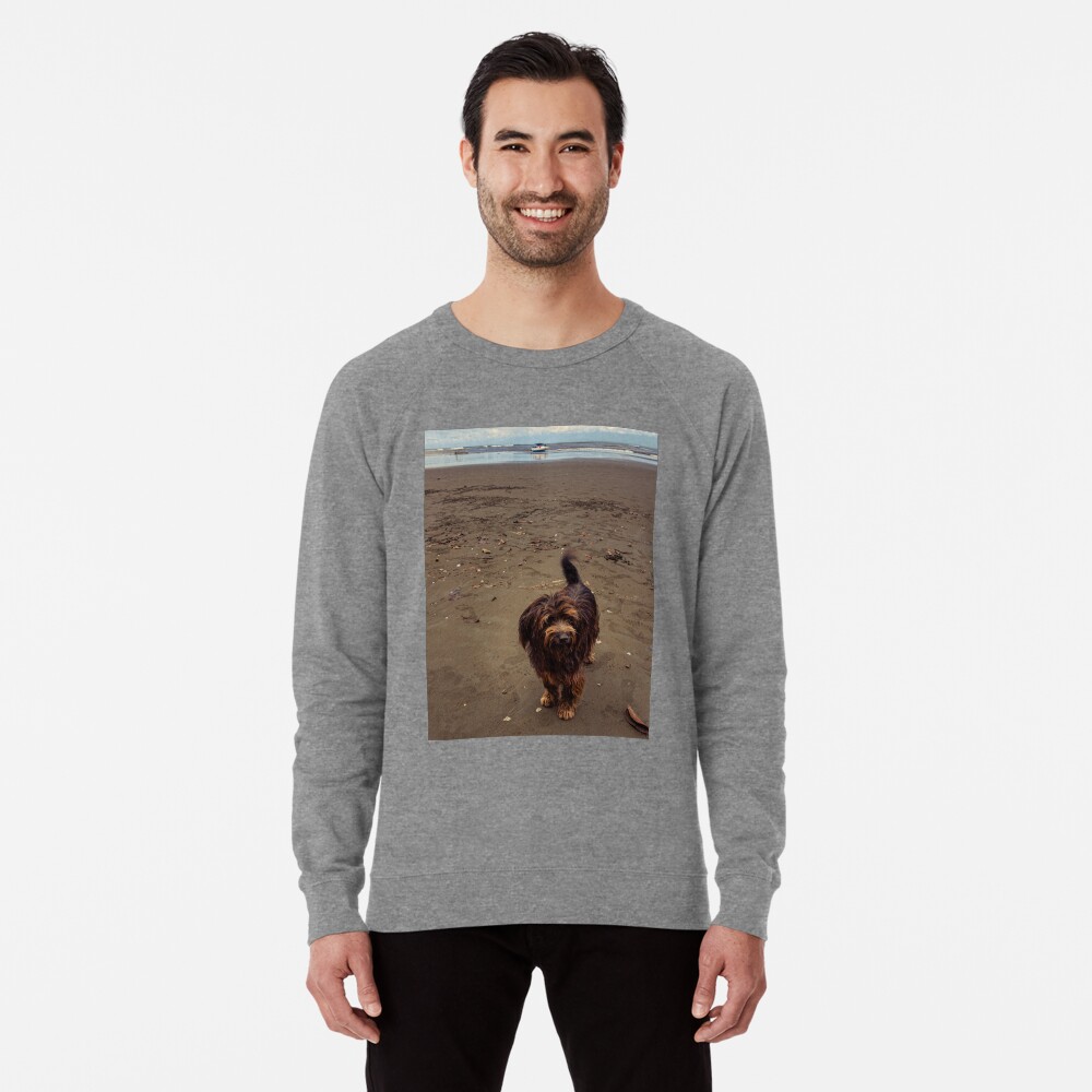 Item preview, Lightweight Sweatshirt designed and sold by darren-j-mcleod.