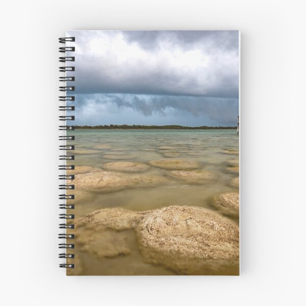 Item preview, Lake Clifton Thrombolites  designed and sold by Peta Smith.