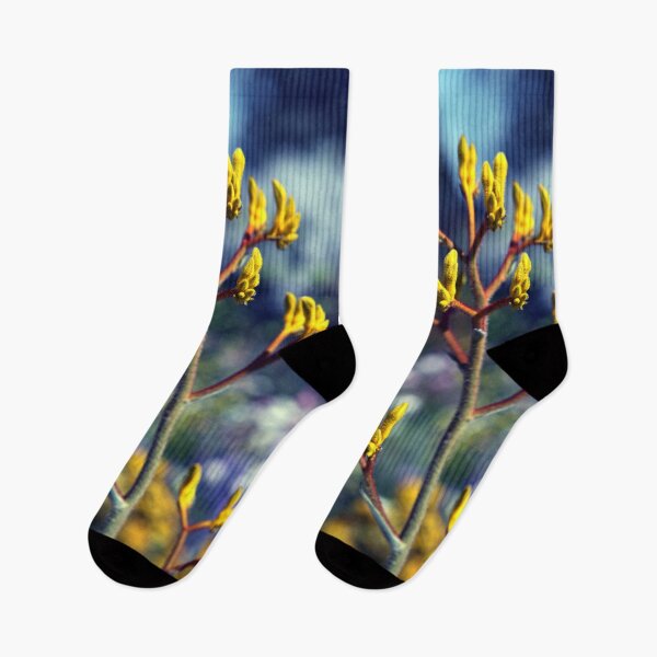 Item preview, Yellow Kangaroo Paw Plant designed and sold by Ella Packham.