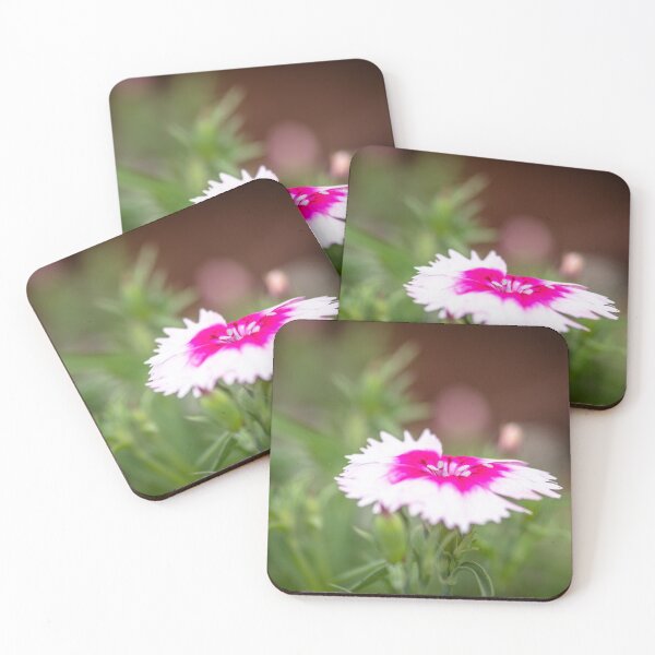 Item preview, Springtime Dianthus designed and sold by Clare Colins.