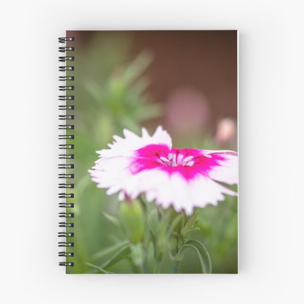 Item preview, Springtime Dianthus designed and sold by Clare Colins.