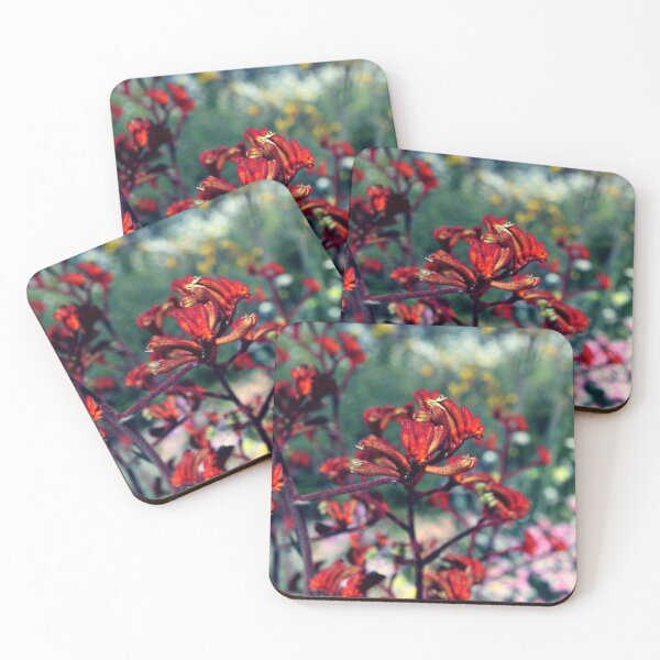 Item preview, Kangaroo Paw designed and sold by Ella Packham.