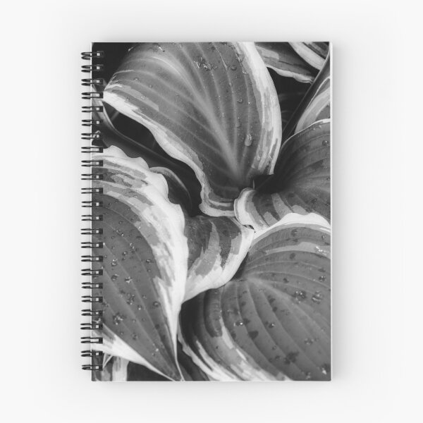 Item preview, Hosta deja en la lluvia 7 designed and sold by Robert Alsop.