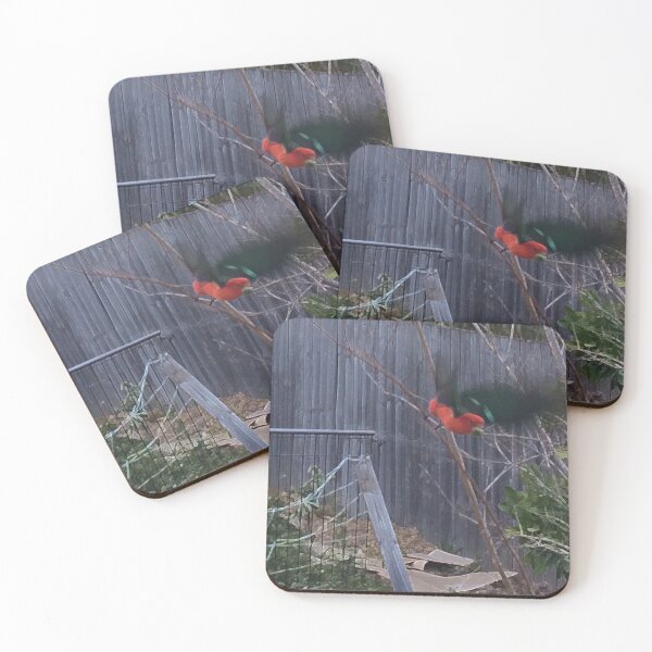 Item preview, Parrot takes flight designed and sold by Ovahill.