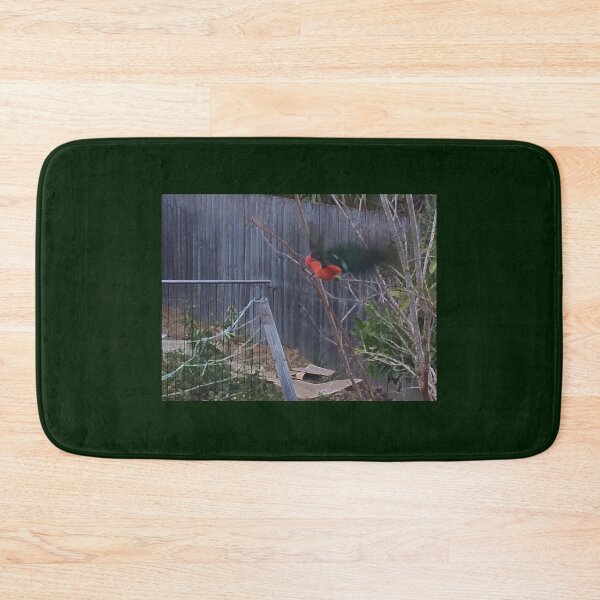 Item preview, Parrot takes flight designed and sold by Ovahill.