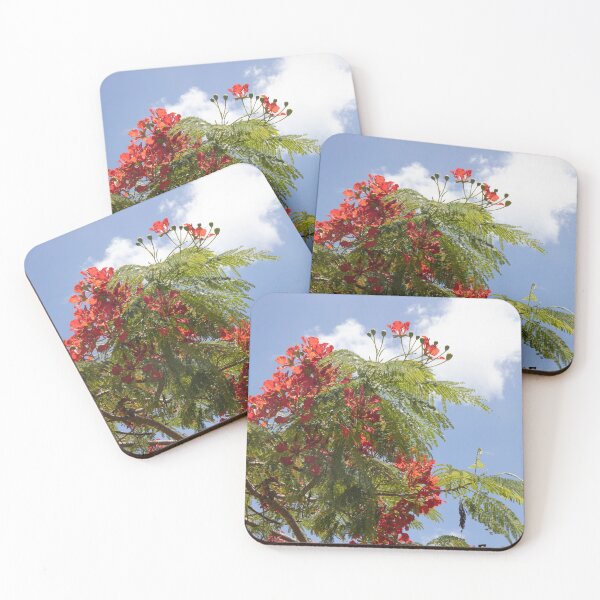 Item preview, Poinciana flowers Against the Sky designed and sold by Marylou Badeaux.