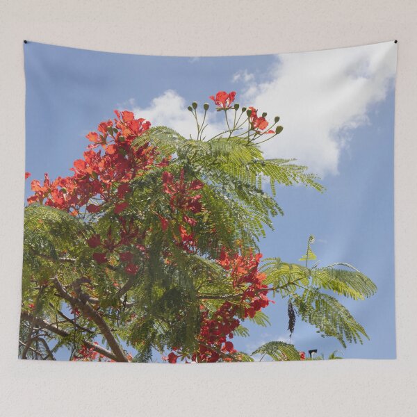Item preview, Poinciana flowers Against the Sky designed and sold by Marylou Badeaux.