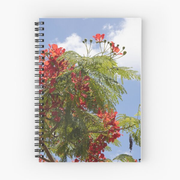 Item preview, Poinciana flowers Against the Sky designed and sold by Marylou Badeaux.