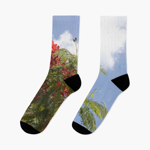 Item preview, Poinciana flowers Against the Sky designed and sold by Marylou Badeaux.