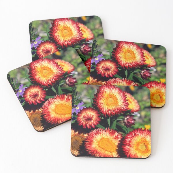 Item preview, Orange Everlasting Flowers designed and sold by Ella Packham.