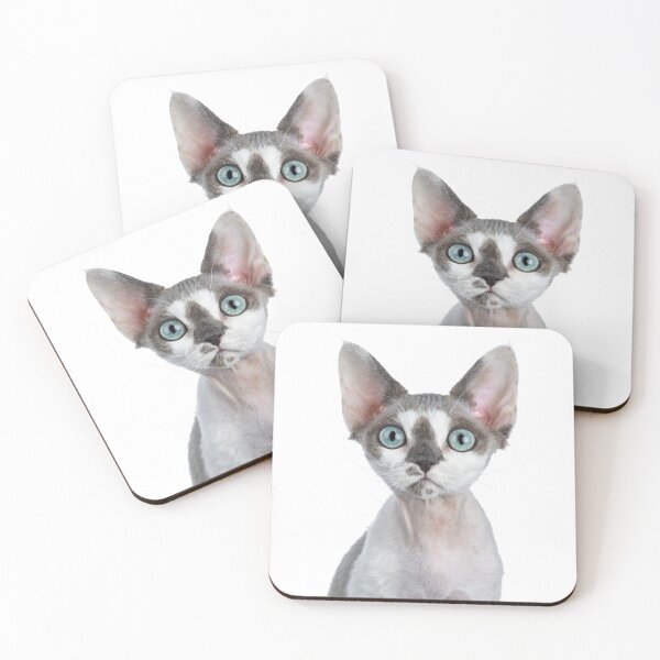 Item preview, Stunning Devon Rex Cat designed and sold by Dreamflight.