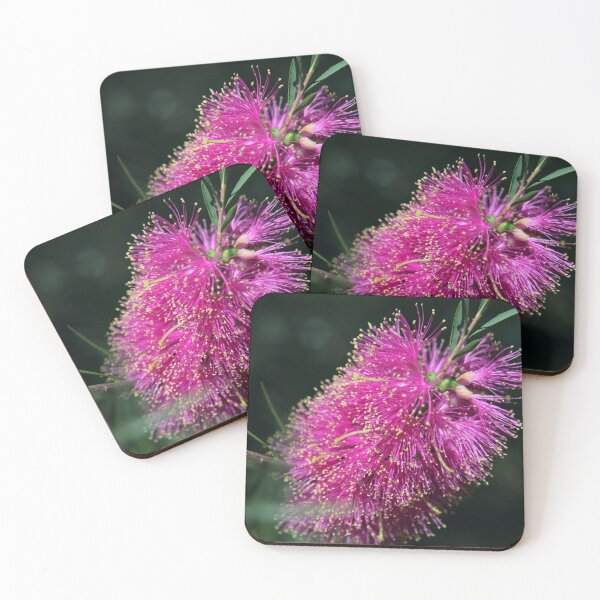 Item preview, Pink Bottlebrush Flower designed and sold by Ella Packham.