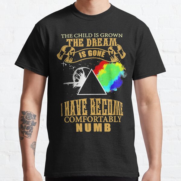 The-Child-Is-Grown-The-Dream-Is-Gone Classic T-Shirt