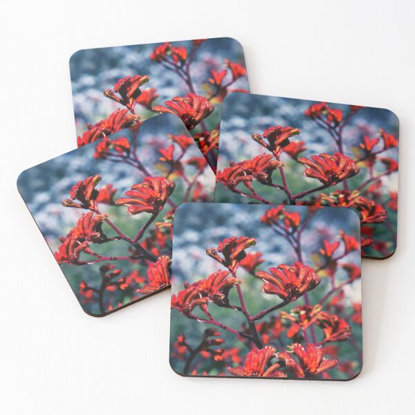 Item preview, Red Kangaroo Paw designed and sold by Ella Packham.