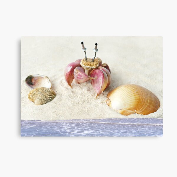 Garlic Crab Canvas Print