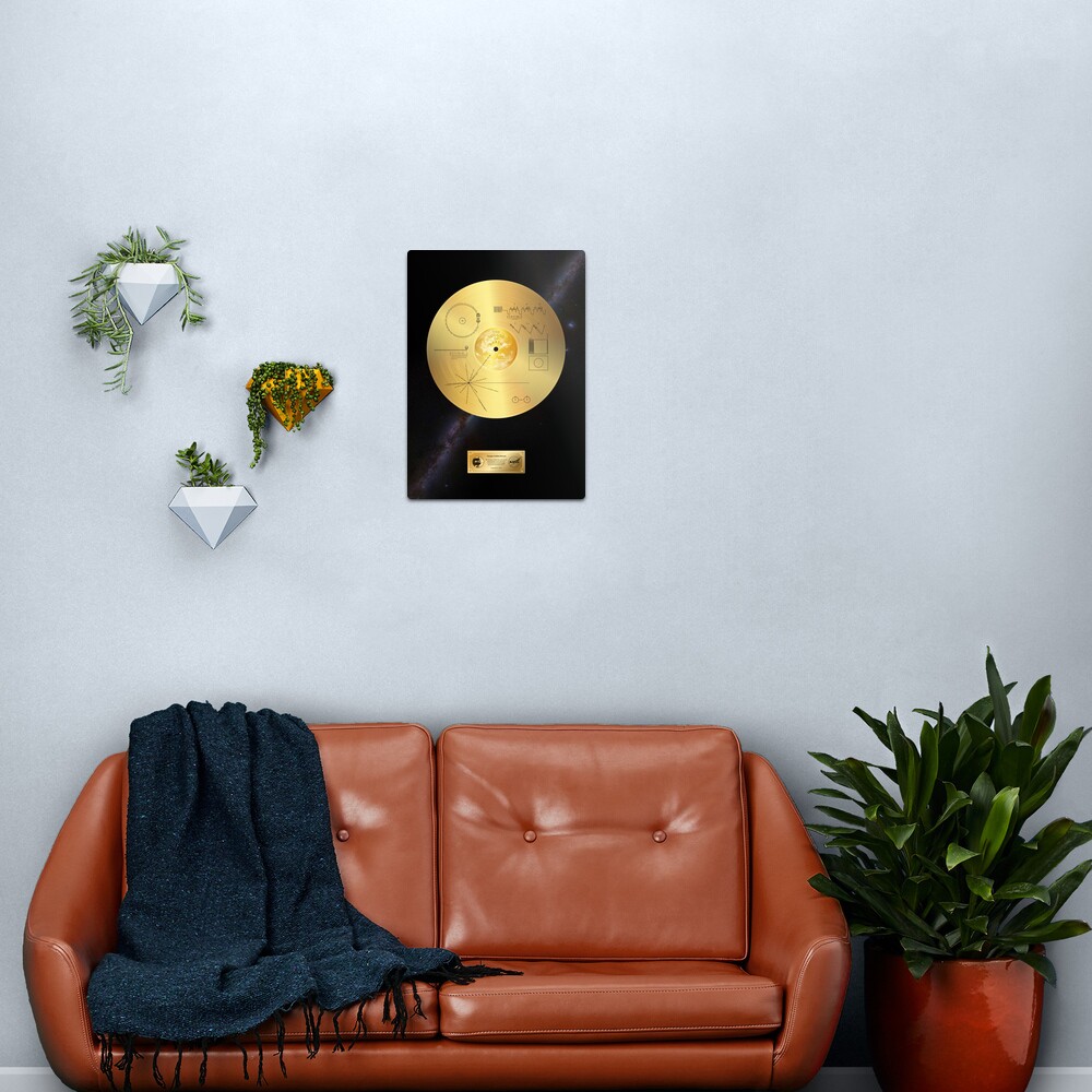 Voyager 1 Golden Record Metal Print