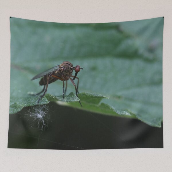 Item preview, Bug hunt 7 designed and sold by cuprum.