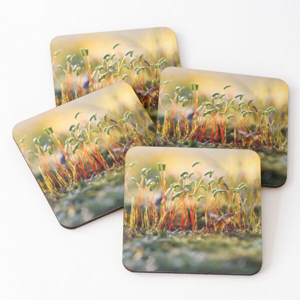 Item preview, Miniature forest designed and sold by cuprum.