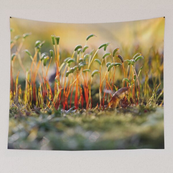 Item preview, Miniature forest designed and sold by cuprum.