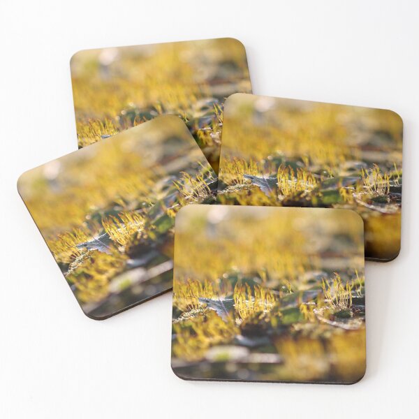 Item preview, Miniature golden garden designed and sold by cuprum.