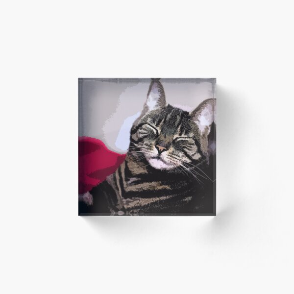 Sleepy Kitty Art Acrylic Block