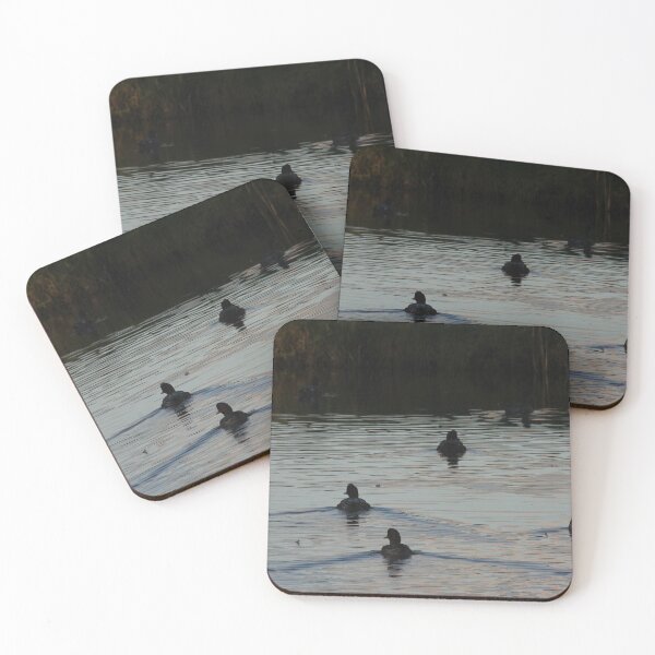 Item preview, Widgeons designed and sold by cuprum.