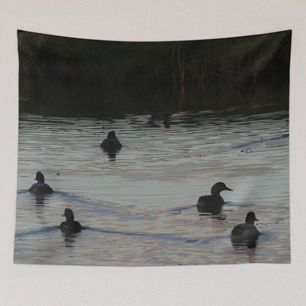 Item preview, Widgeons designed and sold by cuprum.