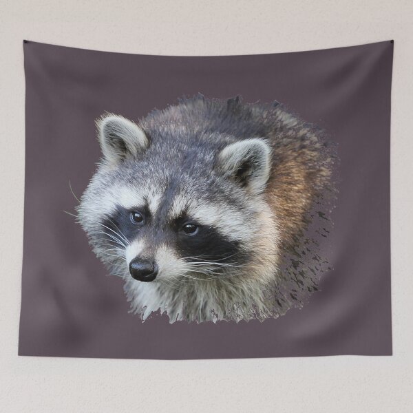 Item preview, Raccoon designed and sold by cuprum.