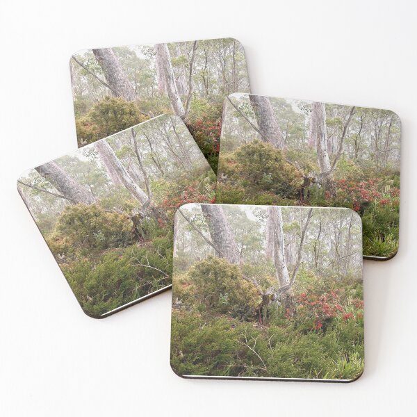 Item preview, Berries in the Mist, Cradle Mountain, Tasmania, Australia. designed and sold by kaysharp.