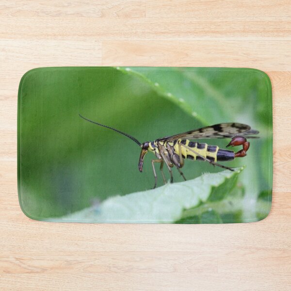 Item preview, Common scorpionfly designed and sold by cuprum.