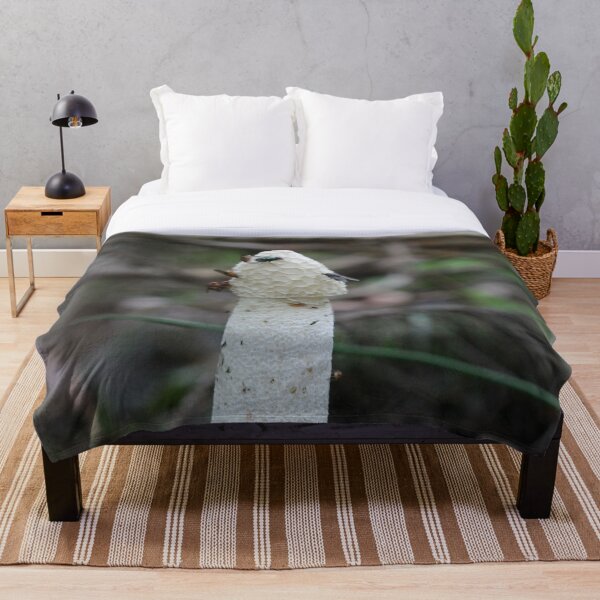 Item preview, Centro comunitario multiusos designed and sold by cuprum.