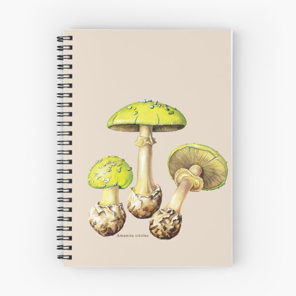 Item preview, Amanita citrine, the false death cap. designed and sold by Squirrox.