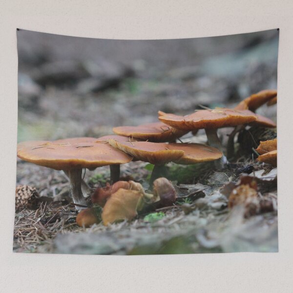 Item preview, Umbrellas designed and sold by cuprum.