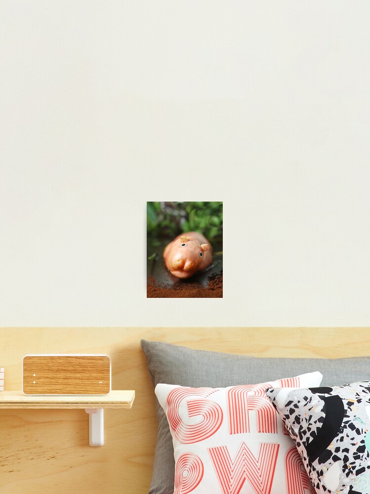 Thumbnail 2 of 3, Photographic Print, Java Hippotatomus designed and sold by Rerinha.