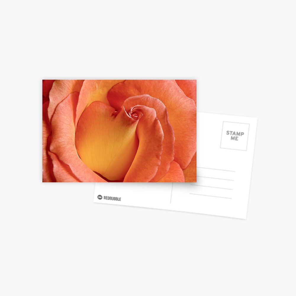 Kiss Me Postcard