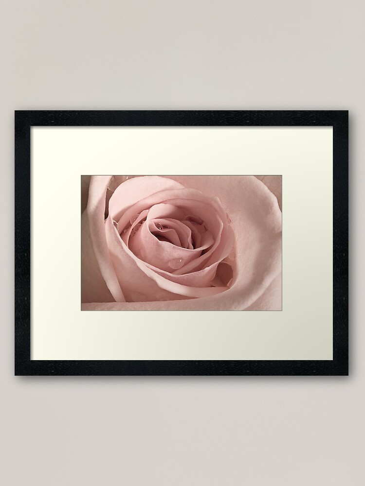 Alternate view of Rose, Take my Breath Away Framed Art Print