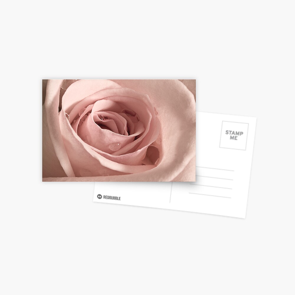 Item preview, Postcard designed and sold by nikongreg.