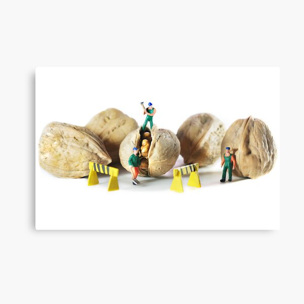 Direct from Lilliput, the 'Walnut Workers'! Canvas Print