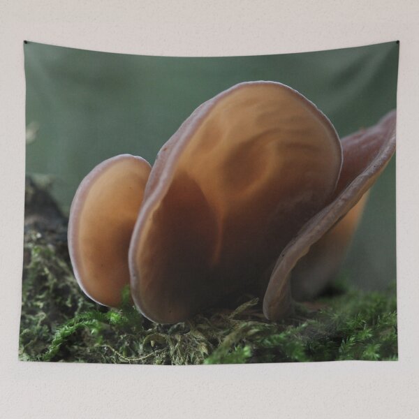 Item preview, Jew's ear designed and sold by cuprum.