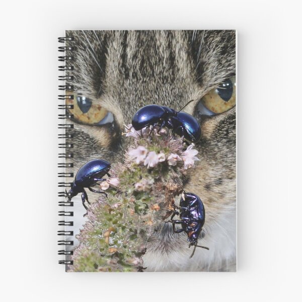 Item preview, This is bugging me SO much... designed and sold by cuprum.