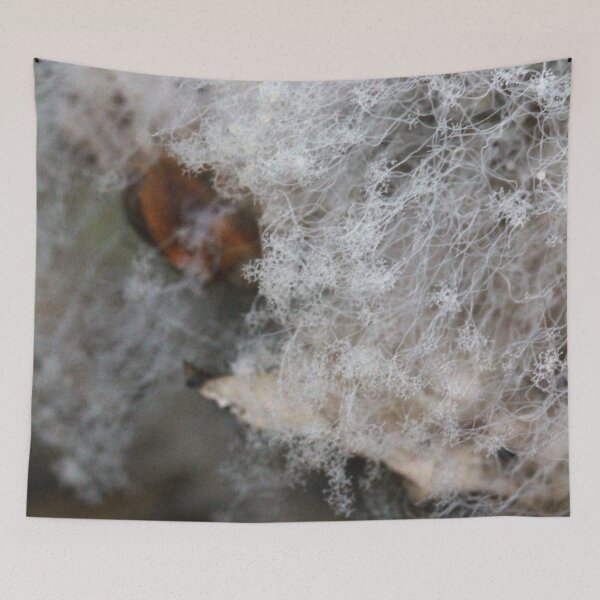 Item preview, Fungi on a fungus designed and sold by cuprum.