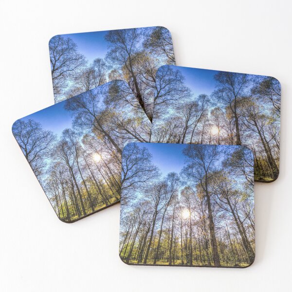 Item preview, Late Afternoon Forest designed and sold by Londonimages.