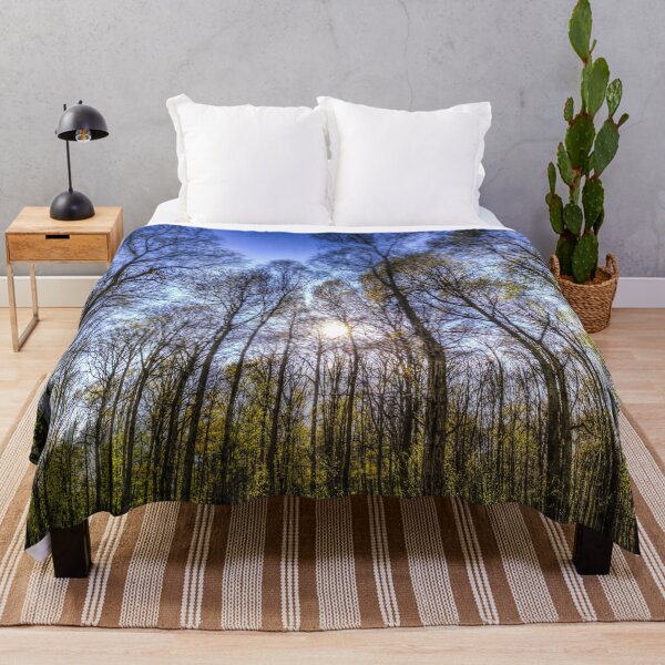Item preview, Late Afternoon Forest designed and sold by Londonimages.