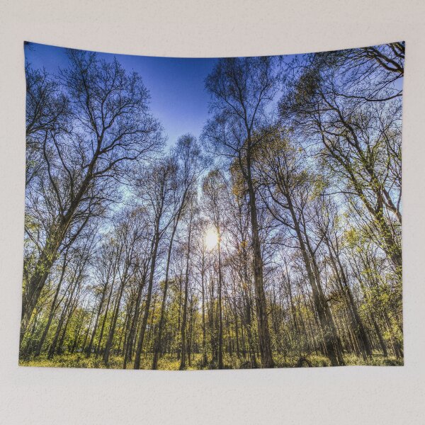 Item preview, Late Afternoon Forest designed and sold by Londonimages.