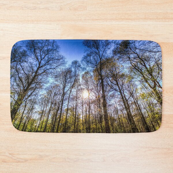 Item preview, Late Afternoon Forest designed and sold by Londonimages.