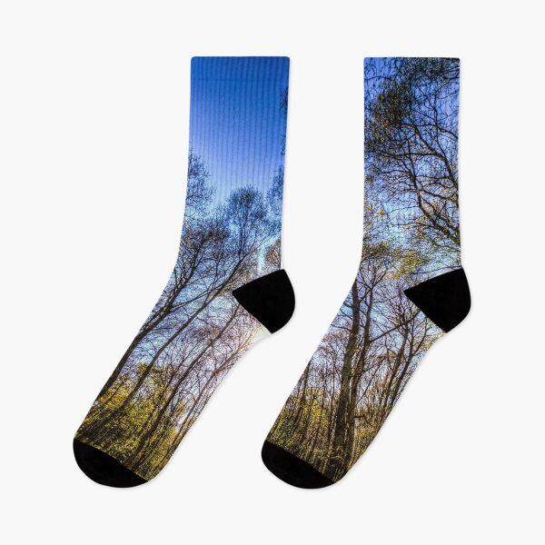 Item preview, Late Afternoon Forest designed and sold by Londonimages.