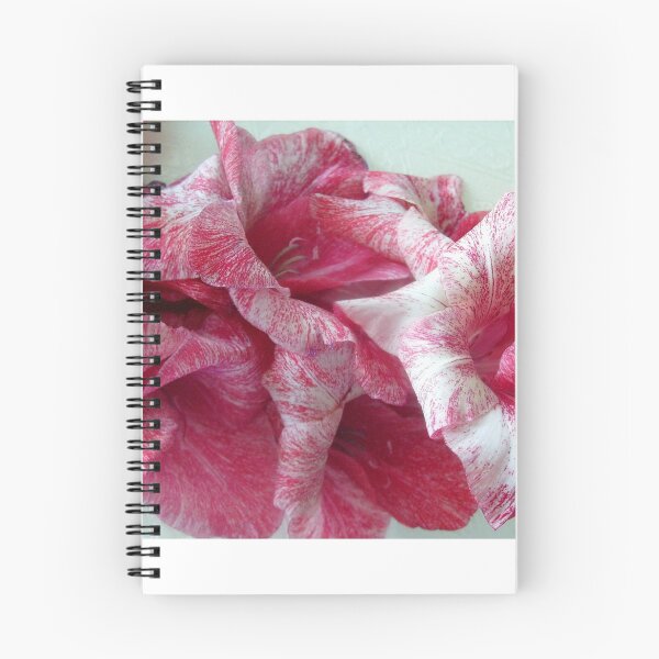 Item preview, Colorful gladiolus designed and sold by Ana Belaj.