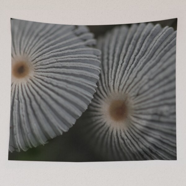 Item preview, Under cover designed and sold by cuprum.