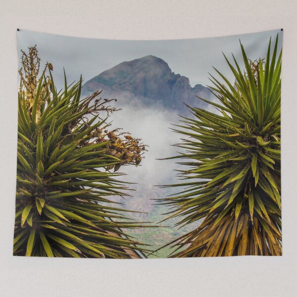 Item preview, Organ Peak near Las Cruces, New Mexico designed and sold by William E Lopez.